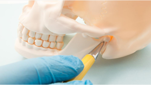 The Role of Neuromuscular Dentistry in Treating Jaw Disorders